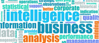   (Business Intelligence)