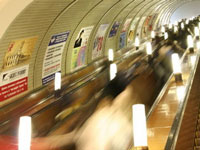 Реклама: виды и их эффективность Реклама: виды и их эффективность